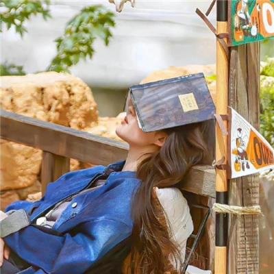 双宝联盟爹地是大佬