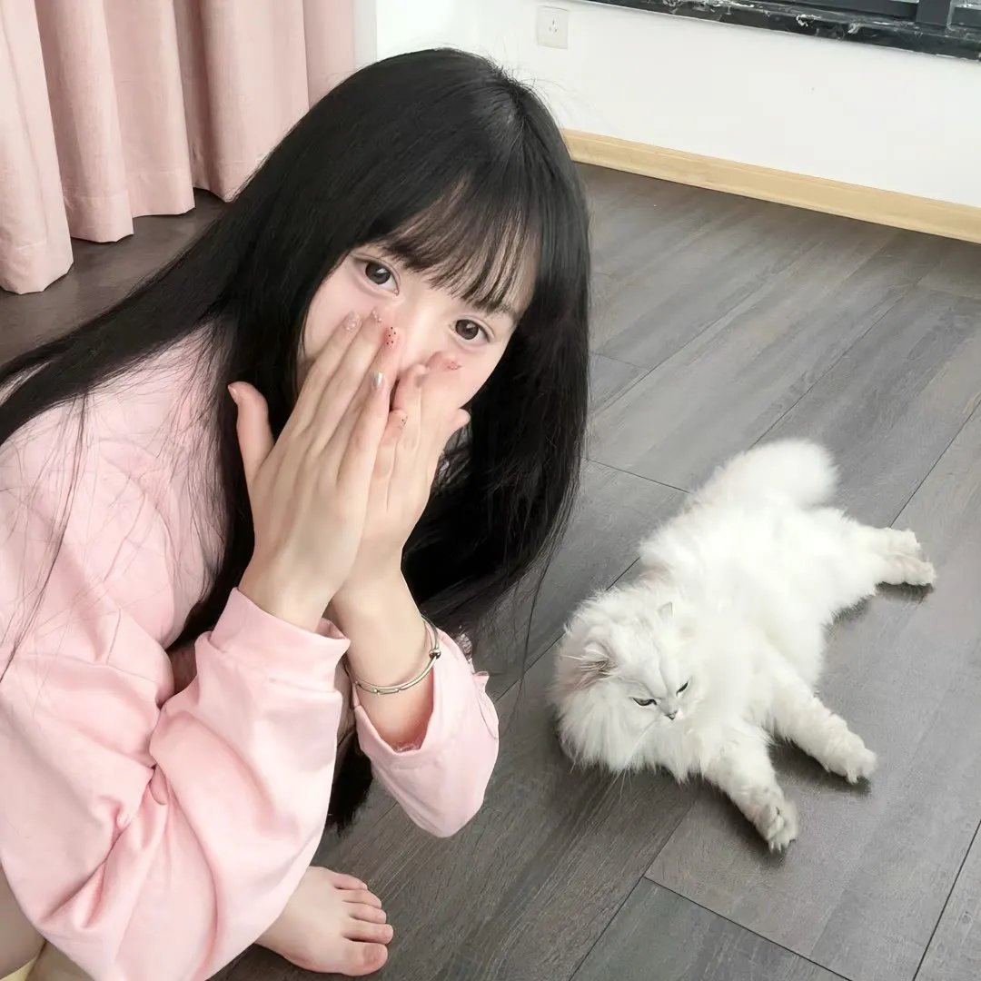 呆呆精灵与女巫城堡