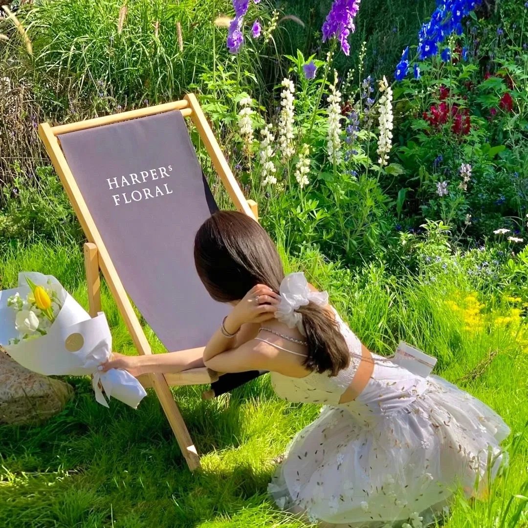 庖丁传奇之鸳鸯蝴蝶料理梦